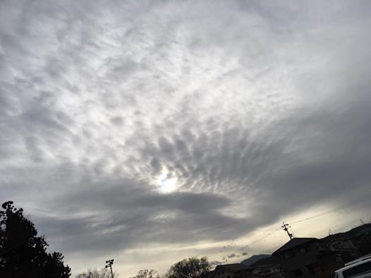 画像に含まれている可能性があるもの:雲、空、木、屋外、自然