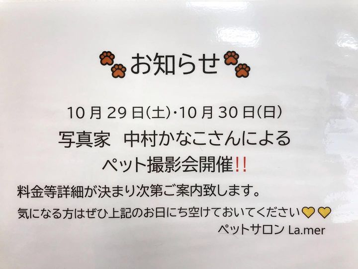 お知らせ 写真家中村かなこさんによる 撮影会開催です Kanako Nakamura Photo 中村さんも 可愛いダックスのマリン