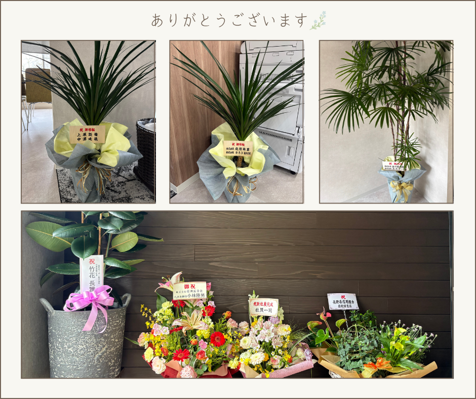 移転祝いいただきました✨